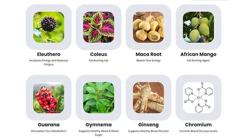Ingredients of Sugar Defender
